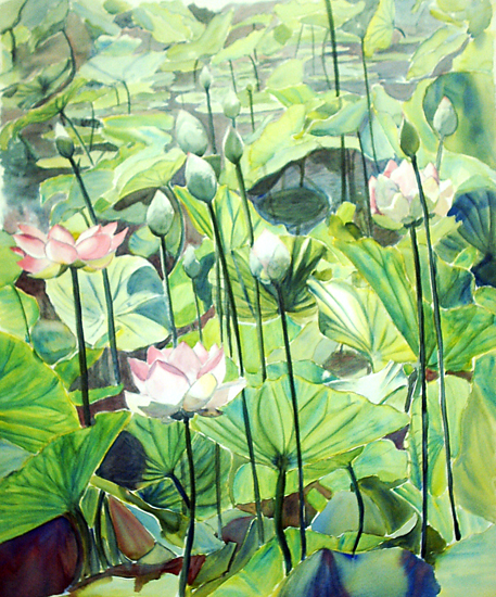 Lotus Landscape